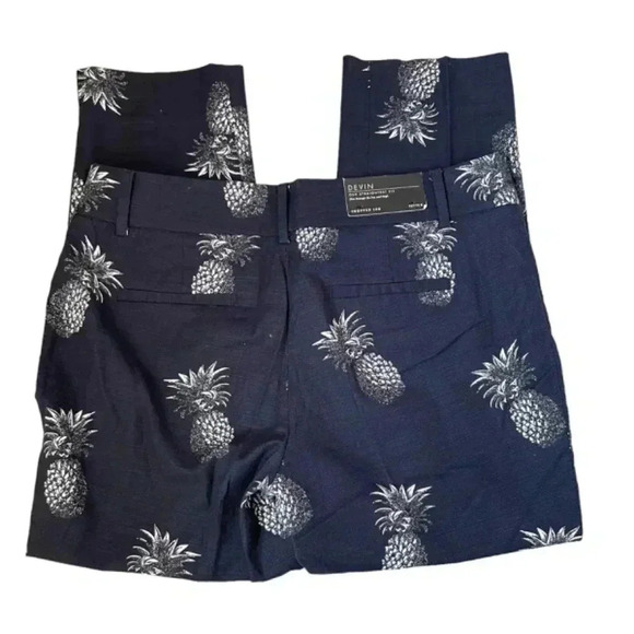 Ann Taylor Devin Cropped Leg Pants Pineapple Print Size 8P Petite Blue Straight - Picture 4 of 10